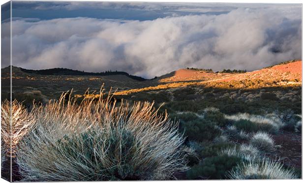 Above the Clouds, Tenerife Canvas Print by Geoff Storey