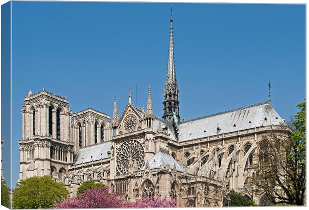 Notre Dame Canvas Print by Geoff Storey