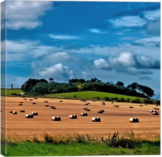 Harvest Time in Wiltshire Canvas Print by Joyce Storey