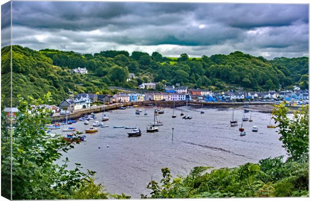 From the path above Lower Fishguard Canvas Print by Joyce Storey