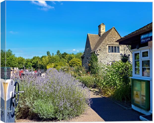 Lavender at Iffley Lock Canvas Print by Joyce Storey