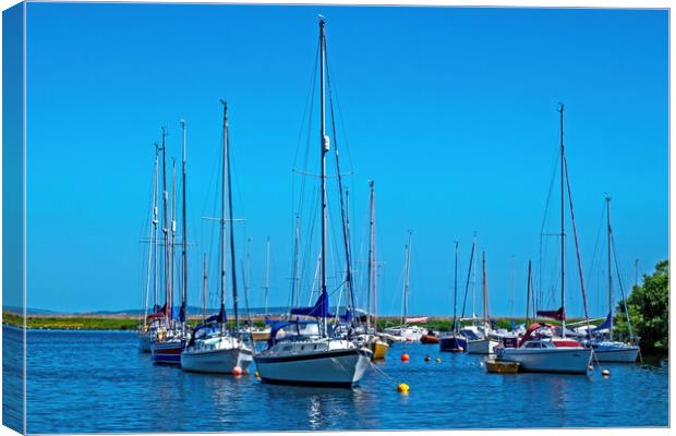 Masts lined up Canvas Print by Joyce Storey