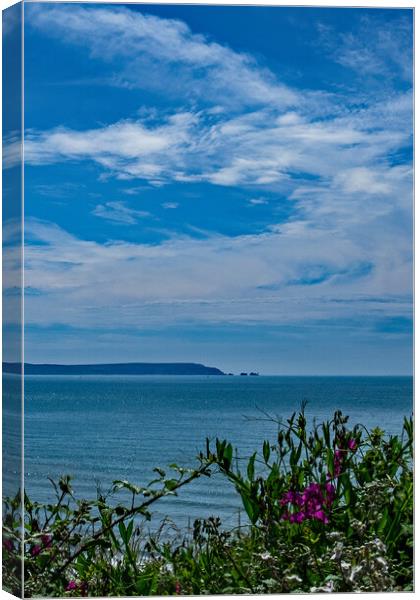 A view from Highcliffe Canvas Print by Joyce Storey