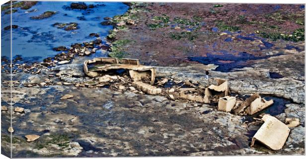 Shipwreck being Photographed Canvas Print by Joyce Storey