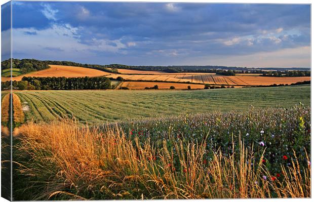 Golden Fields Canvas Print by Joyce Storey