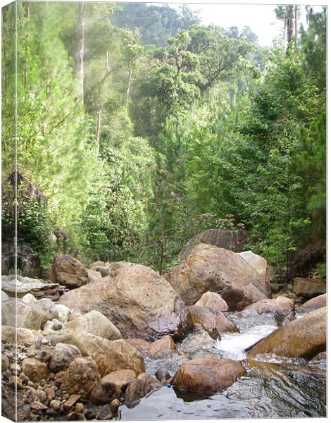 Down The River Canvas Print by Amy Hall