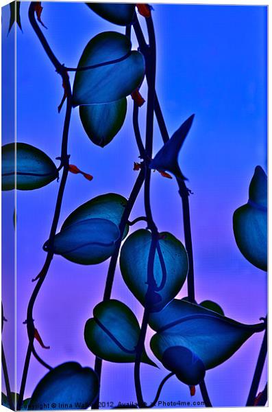 Philodendron Canvas Print by Irina Walker