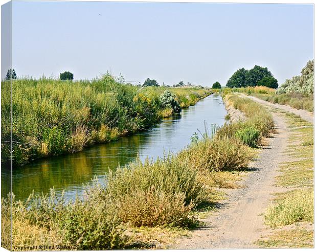 The Canal Canvas Print by Irina Walker