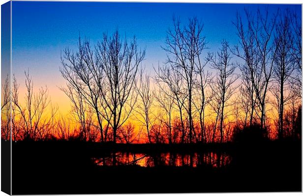 Sunset in Eastern Oregon. Canvas Print by Irina Walker