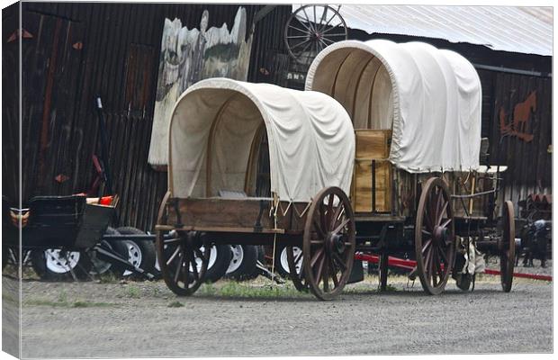 The Covered Wagons Canvas Print by Irina Walker