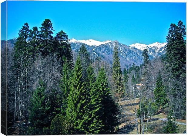 Snow on Mountain Tops Canvas Print by Irina Walker