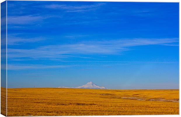 Mount Jefferson Canvas Print by Irina Walker