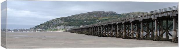 The Barmouth Bridge Canvas Print by Ray Lewis
