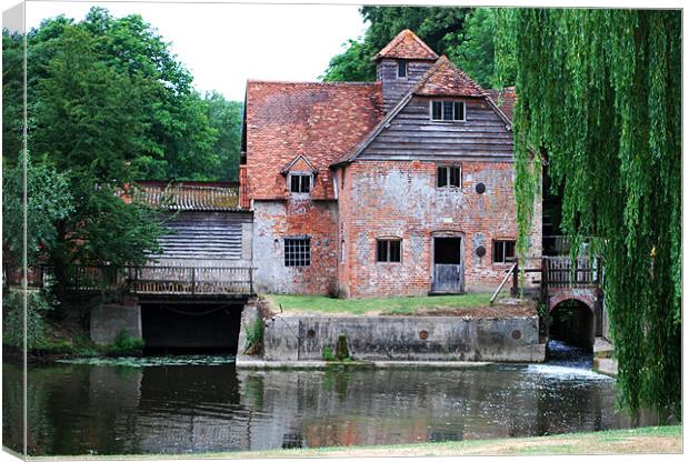 The Old Mill, Mapledurham Canvas Print by Ray Lewis