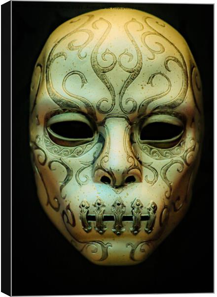Behind the mask Canvas Print by Steven Shea