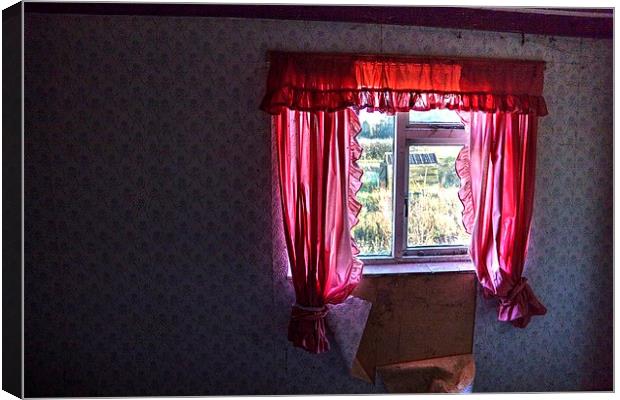 Room with a view Canvas Print by Steven Shea