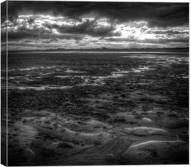  Skegness in Summer Canvas Print by Steven Shea