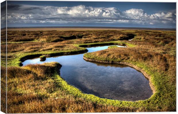  Salt marsh pool Canvas Print by Steven Shea