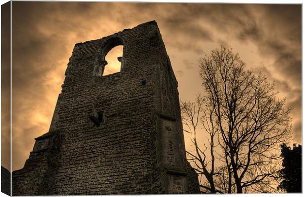 The Watchtower. Canvas Print by Steven Shea