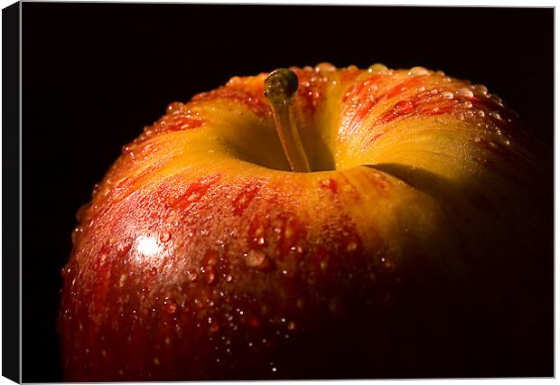 An Apple a day Canvas Print by Steven Shea