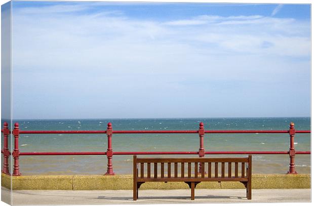 Lonely Promenade Canvas Print by Steven Shea