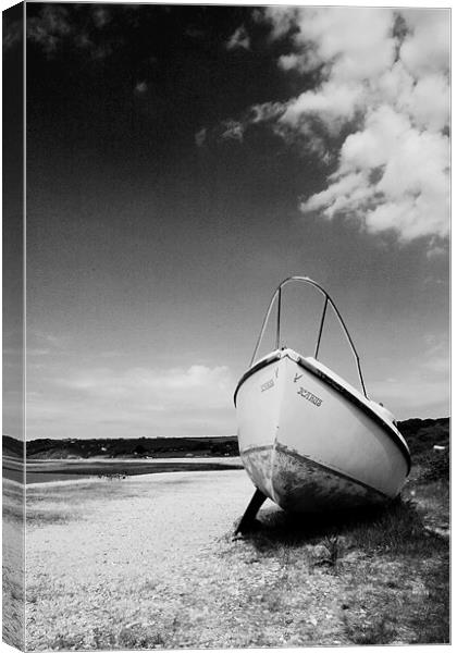 Beached Canvas Print by Steven Shea