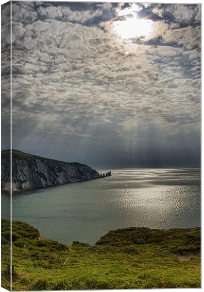 The Needles Canvas Print by Steven Shea