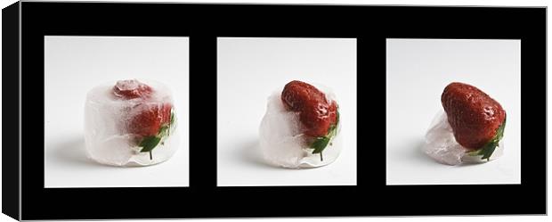 Frozen Strawberry Canvas Print by Pam Martin
