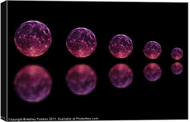 Five reflected moons Canvas Print by Ashley Paddon