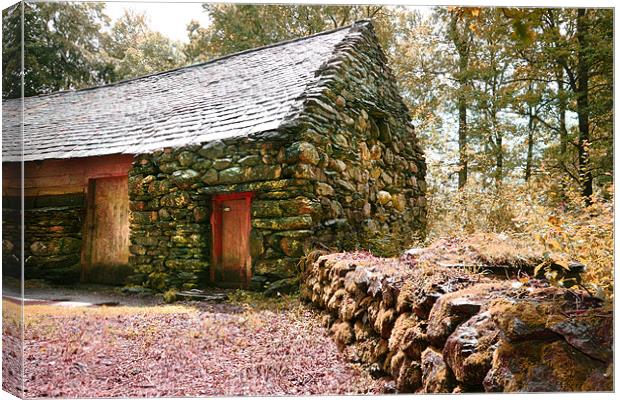 Charcoal Burners Cabin Canvas Print by Brian Beckett