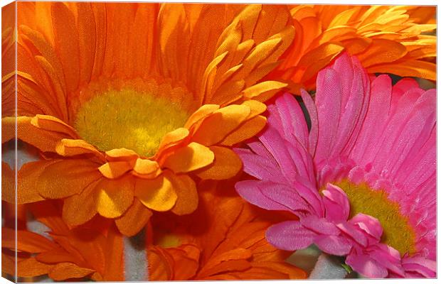 Orange and Pink Flowers Canvas Print by Brian Beckett