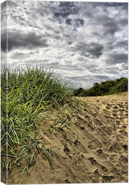 Sand dune Canvas Print by Brian Beckett