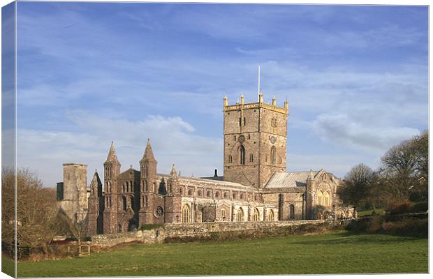 St Davids Cathedral Canvas Print by Brian Beckett