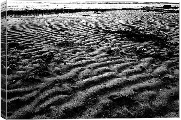 Rippled sand Canvas Print by John Black