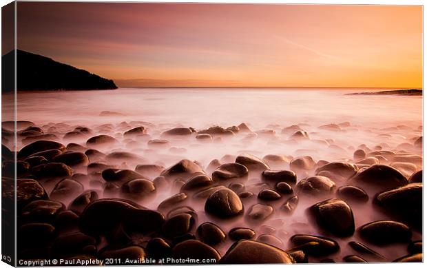 Cullernose Point - Northumberland, sunrise. Canvas Print by Paul Appleby