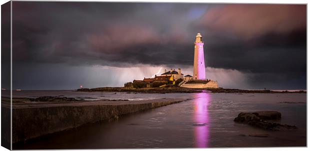 Flash of Pink Canvas Print by Paul Appleby