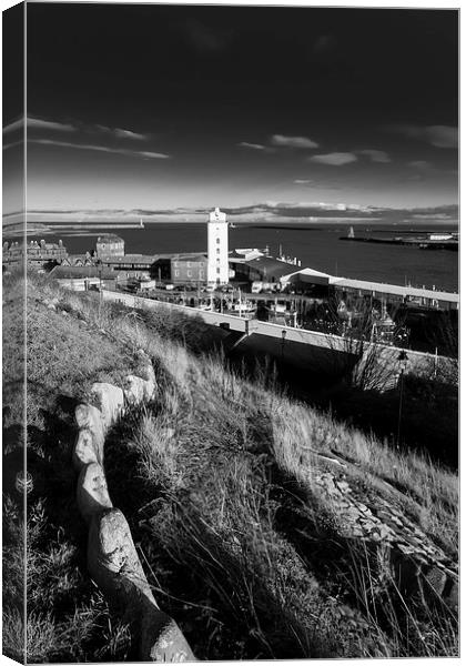North Shields - Low Lights Canvas Print by Paul Appleby