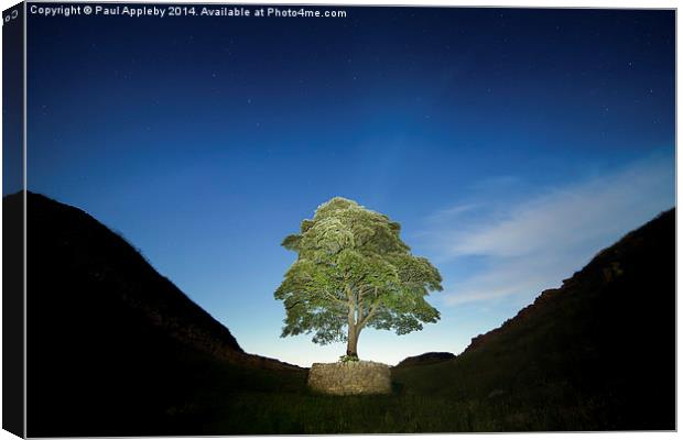  Lone Tree on Hadrian's Wall - Sycamore Gap Canvas Print by Paul Appleby