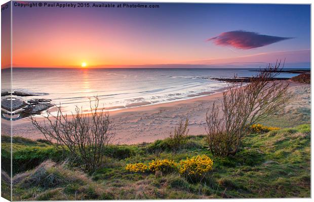 Sugar Sands Northumberland Canvas Print by Paul Appleby