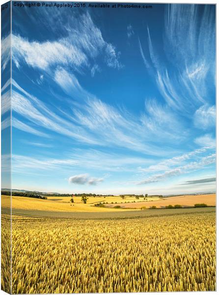   Northumberland Meets the Sky Canvas Print by Paul Appleby