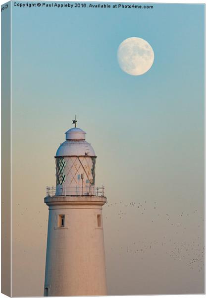  St. Mary's Lighthouse and the Christmas Moon Canvas Print by Paul Appleby
