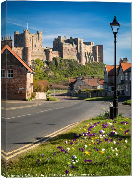 Beautiful Blooming Bamburgh Canvas Print by Paul Appleby