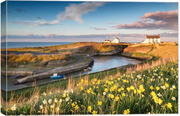 Seaton Sluice in the Spring Canvas Print by Paul Appleby