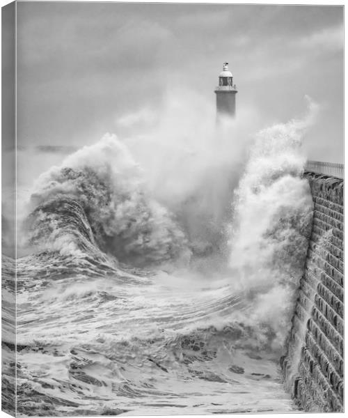 Storm Force Tynemouth Canvas Print by Paul Appleby