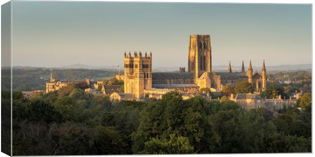 Durham Cathedral and Castle  Canvas Print by Paul Appleby