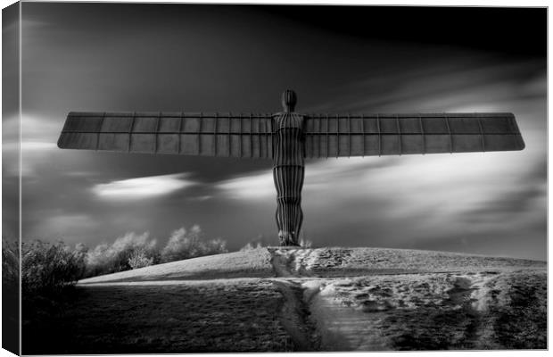 Angel of the North - Mono Canvas Print by Paul Appleby