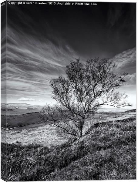  Corby Crags Canvas Print by Karen Crawford