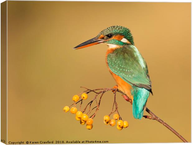 Autumnal Kingfisher Canvas Print by Karen Crawford