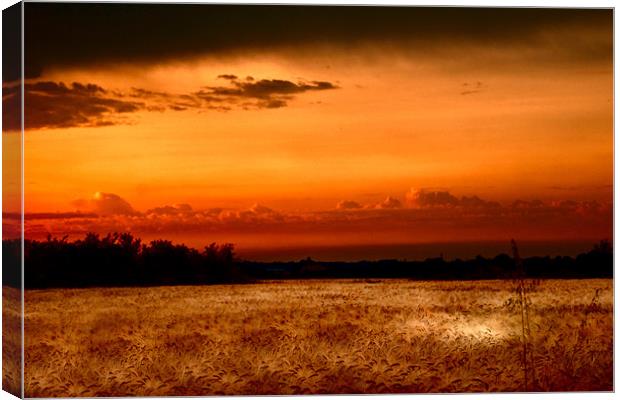Fenland Evening Sunset Canvas Print by Terry Pearce