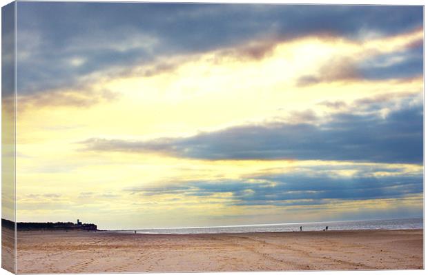 A beach scene with golden skies Canvas Print by Terry Pearce